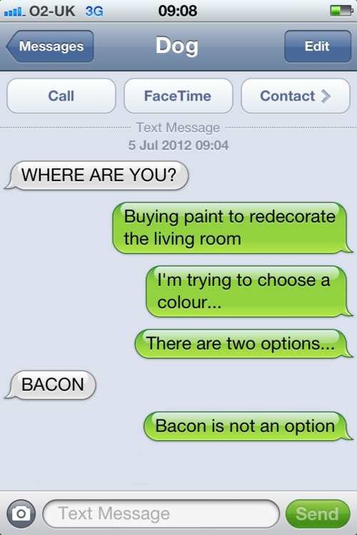 Humourous txt from Dog